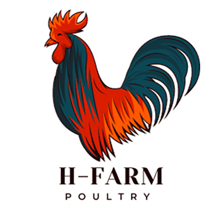 H-Farm